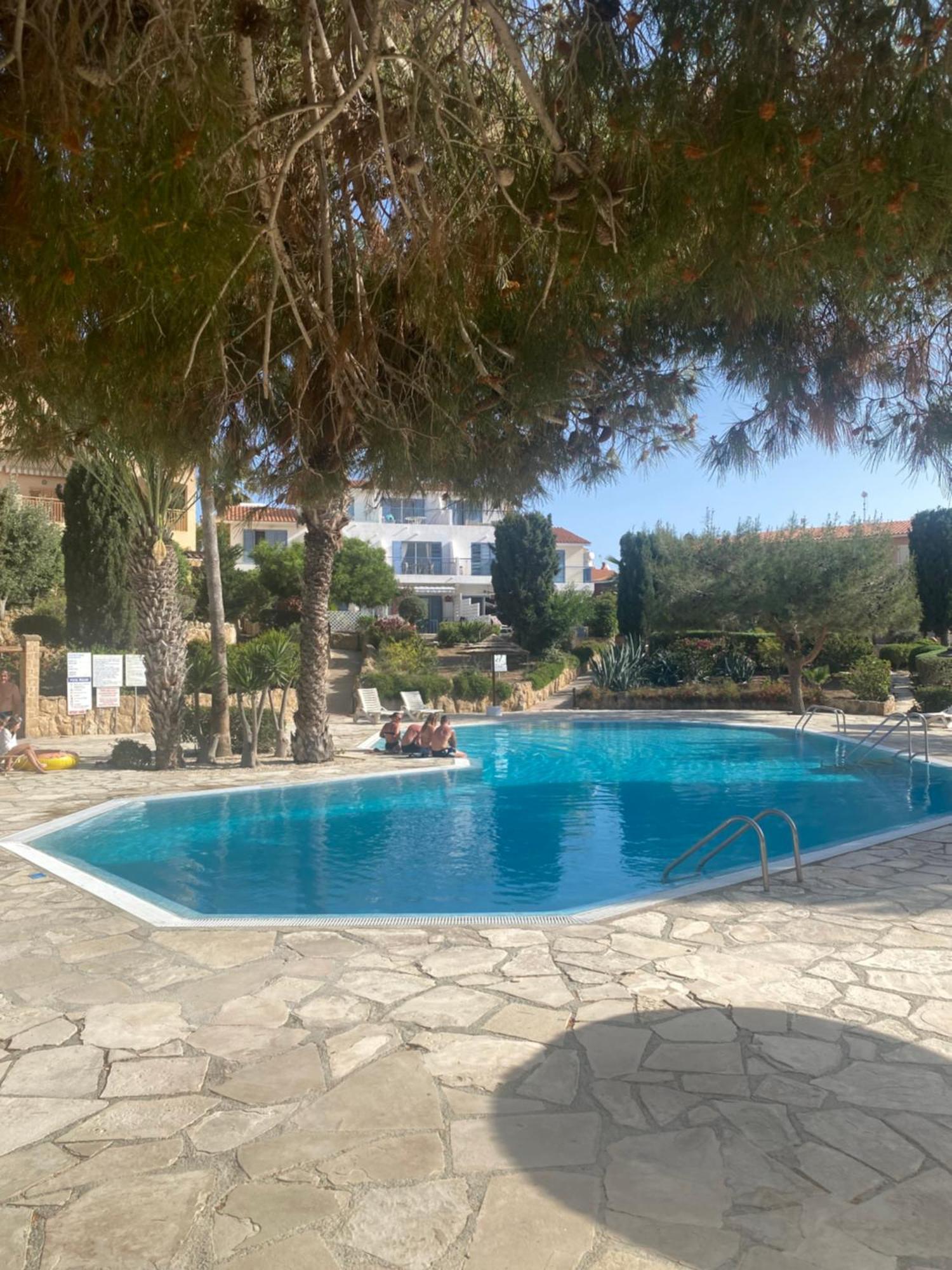 Newly Renovated- Regina Gardens 1, Venus Beach 500 M, Sea&Sunsets View, License Ooo7141 Пафос Экстерьер фото