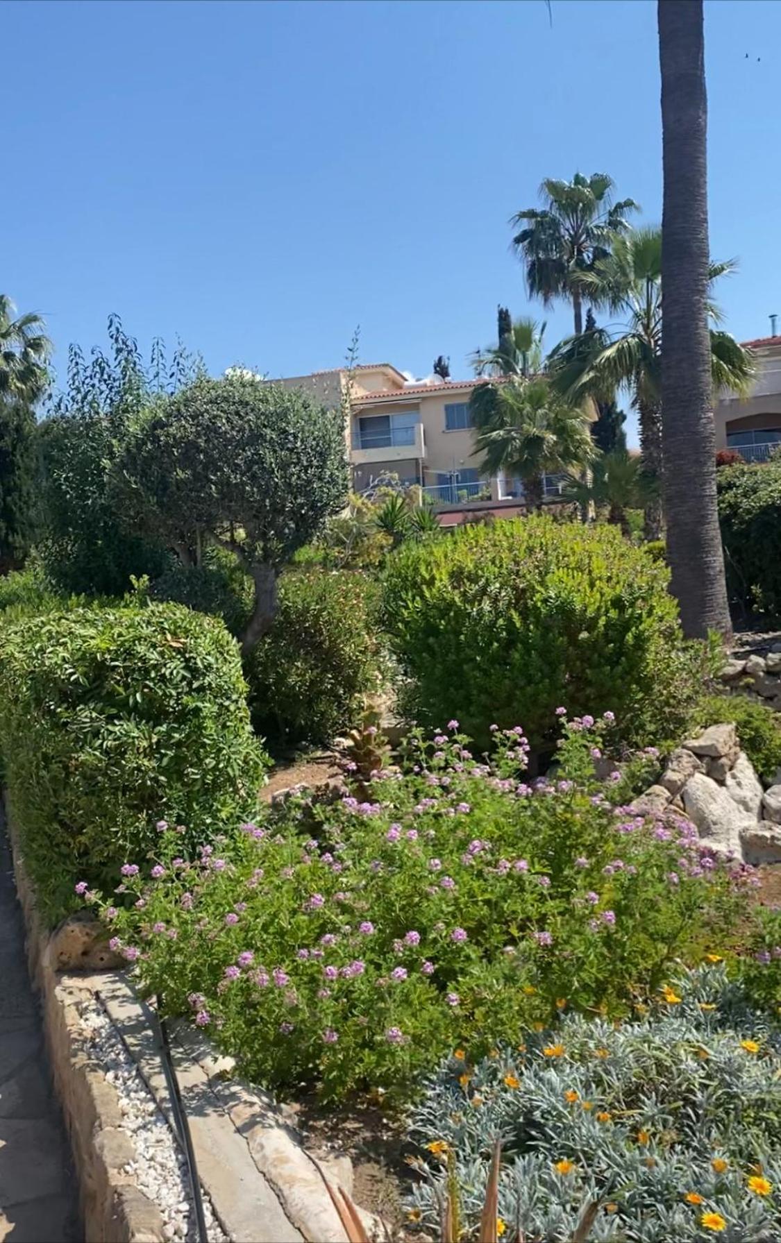 Newly Renovated- Regina Gardens 1, Venus Beach 500 M, Sea&Sunsets View, License Ooo7141 Пафос Экстерьер фото