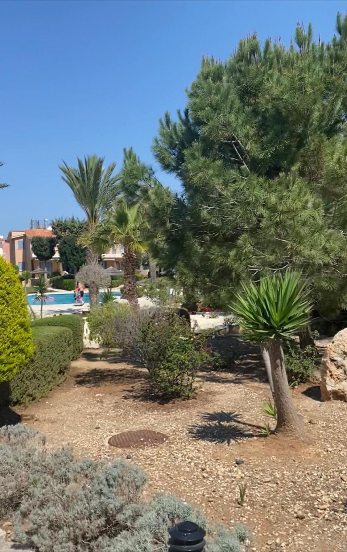 Newly Renovated- Regina Gardens 1, Venus Beach 500 M, Sea&Sunsets View, License Ooo7141 Пафос Экстерьер фото