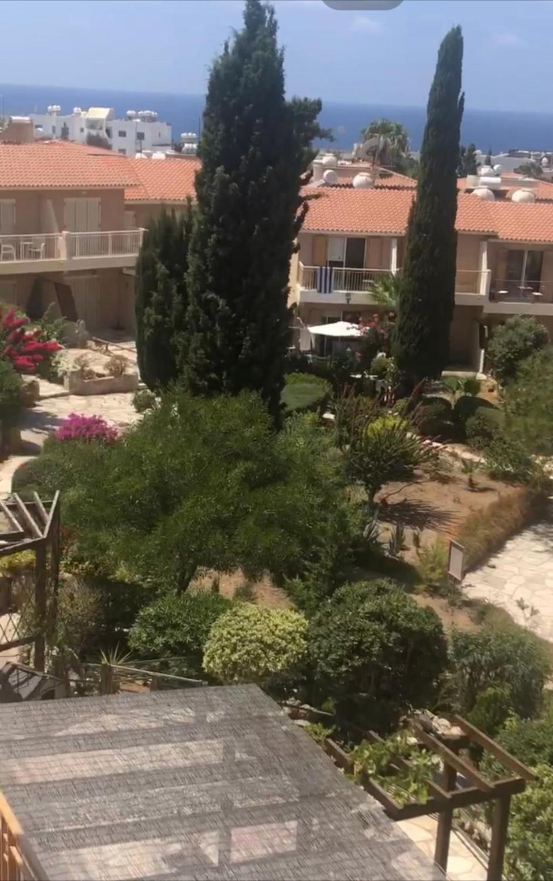 Newly Renovated- Regina Gardens 1, Venus Beach 500 M, Sea&Sunsets View, License Ooo7141 Пафос Экстерьер фото