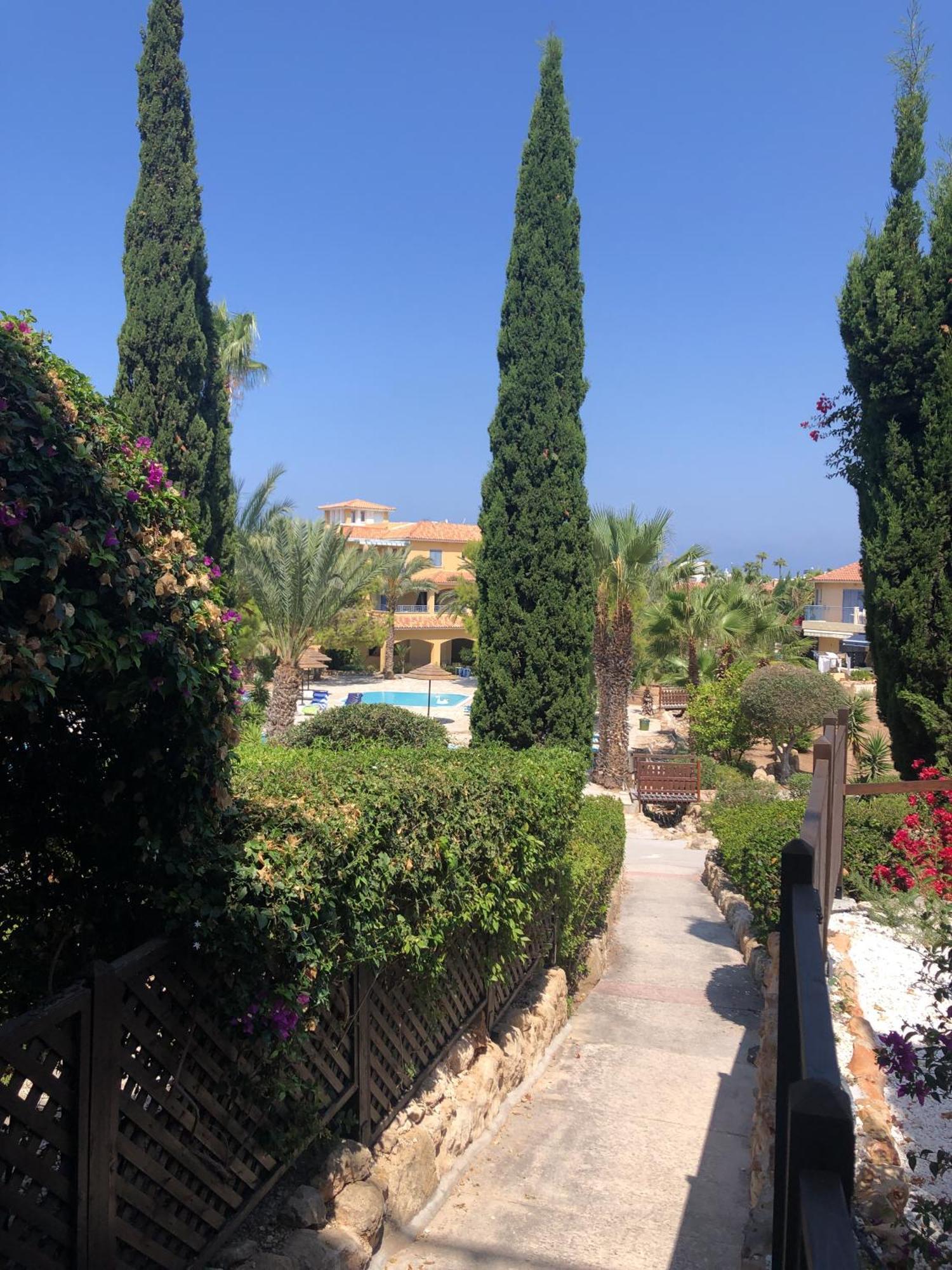 Newly Renovated- Regina Gardens 1, Venus Beach 500 M, Sea&Sunsets View, License Ooo7141 Пафос Экстерьер фото